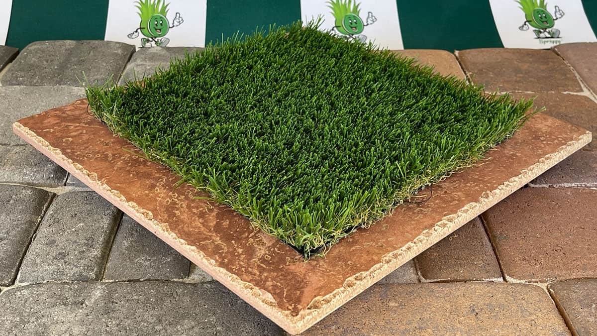 Fescue Mid 90